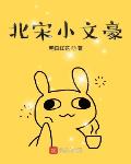 北宋小文豪优书网