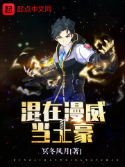 混在美漫当土豪txt下载