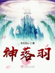 神羽战神无弹窗