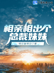 相亲相出个总裁妹妹百度百科