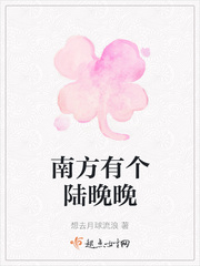 南方有乔木小说陆南城