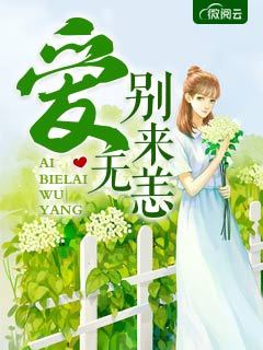 妻子的复仇小说