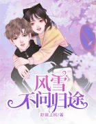 宋湘陆瞻的小说全文免费阅读