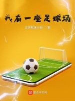 我有一个足球英文
