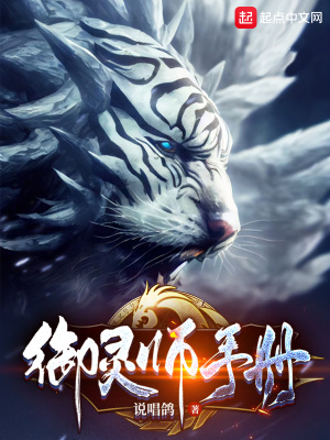 御灵师ss