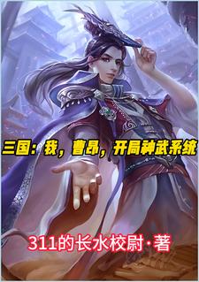 三国:我曹家