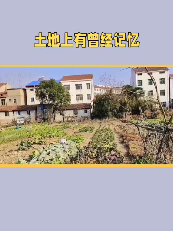 土地下面有人生存吗