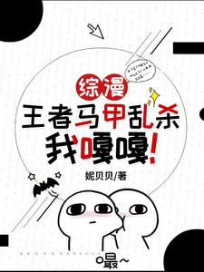 综马甲小说