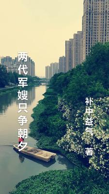 两代情是什么意思