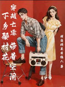 穿书东北年代文小说