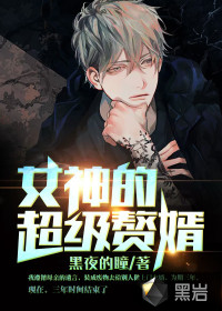 小说女神的超级赘婿作者