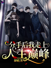 分手后我走上人生巅峰作者:星辰粒粒